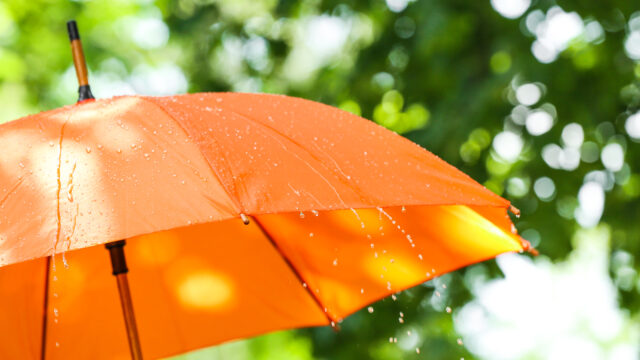 0歳児　室内遊び　雨の日